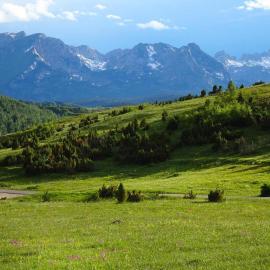 Mountain Lodge with View near Durmitor National Park, hotel in Tepačko Polje