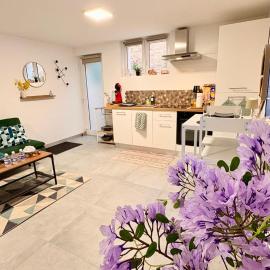 Cocon urbain , bel appartement entièrement équipé, entrée privée, parking