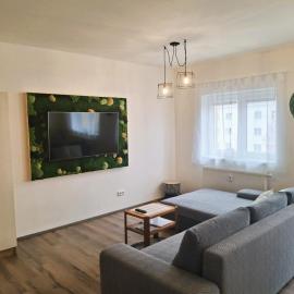 Apartmán Milano Frymburk, hotel in Frymburk