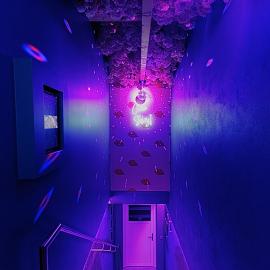 Lustra Stundenhotel - Adults Only, hotel in Landshut