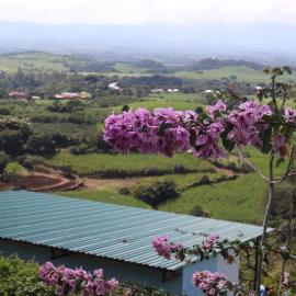 The Toucan - Cozy Mountain Cabin, Stunning Views, Private & Quiet in Costa Rica
