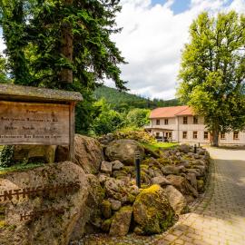 Harz Huus Apartment "Tanne"