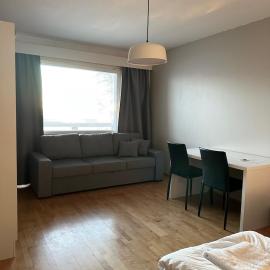 Metsä room, hotel in Rovaniemi