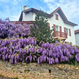 Pays Basque Gite Munhoa, hotel in Anhaux