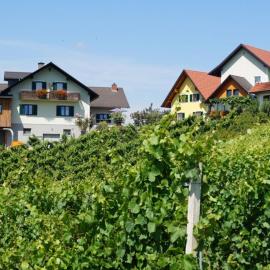 Weingut Hernach vlg Roschitz