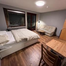 Renovated apartment with Wi-Fi