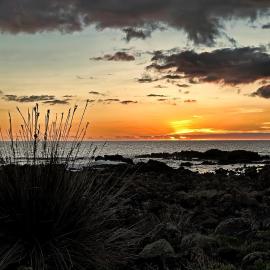 Casa Cruzeiro AL - by the sea OCEANTUR
