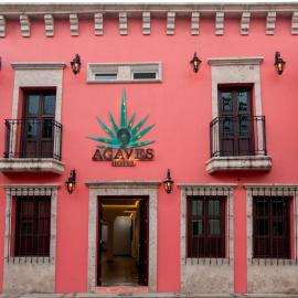 Nueve Agaves Hotel，特基拉的飯店