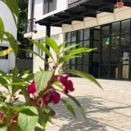 Smiths house, hotell i Surami