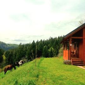 Tiny house, Hotel in Žiri