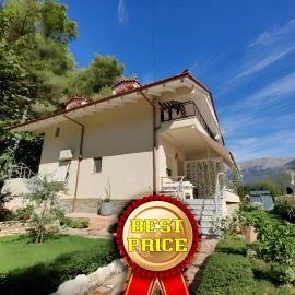 Villa Vasil Mertiri