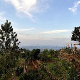 Blackwoods FarmHouse, hotell i Beragala