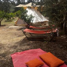 In Our Garden Sardinia - Orange Trees Glamping Tent, Hotel in Capitana