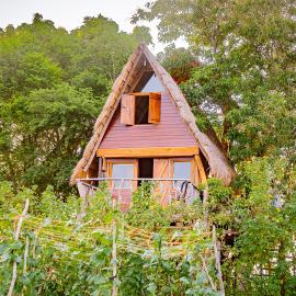 Wisdom Camping and Glamping