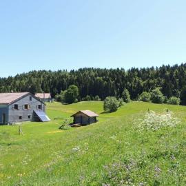 Gîte rural La Grange en pleine nature à La Pesse