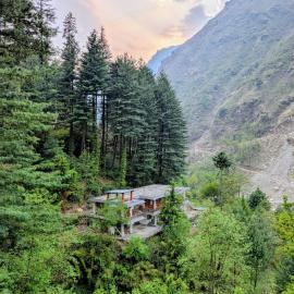 The Woods - Tirthan Valley