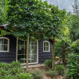 Heivlinder Comfort 42p, hotelli kohteessa Ermelo