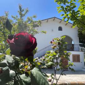GArt House Holiday Home, hotel Scafában
