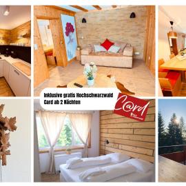 Mitten auf dem Feldberg Panorama Apartment Bergglück