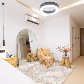 Modern Stylish Studio Apartment