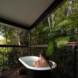 Sun Suite - tiny home treehouse، فندق في كوراندا