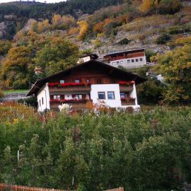 Garni Schuster