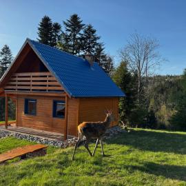 Modrá chata pod horou, hotel u gradu Mračkov