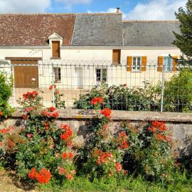 Maison dans les vignes - proche Chenonceau Beauval, hotel in Saint-Georges-sur-Cher