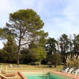 Posada Buen Camino, Hotel in Nono