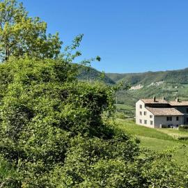Oltrella Country House