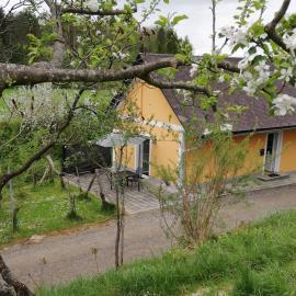 Ferienhaus Muster Dominkusch II
