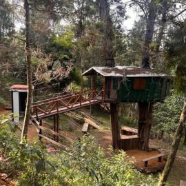 Refugio en el Árbol