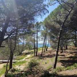 Casa Jacintos - Sintra, Magoito