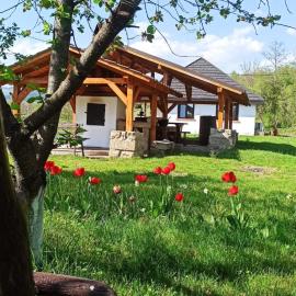 Casa Livada Bunicii, hótel í Tîrgu Ocna