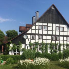 Ferienwohnung auf idyllischer Hofanlage in Lippe, Hotel in Blomberg