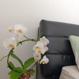Ferienwohnung Mergel in Black Forest, hotel di Zell im Wiesental