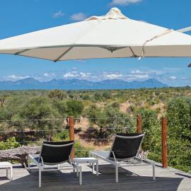 Sausage Tree Safari Camp, hotel in Balule Game Reserve