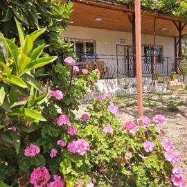 Olympos Orange Village Nature, Sea and You, Hotel in Kumluca