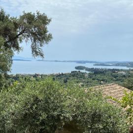 Lemon Tree Cottage - Agios Markos - Corfu