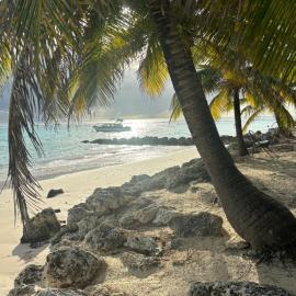 Rose Apartments Barbados, hotel Christ Churchben