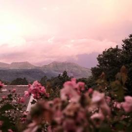 Never Daunted, hotel in Hogsback
