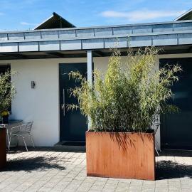 Campingplatz Alpenblick, ξενοδοχείο σε Hagnau