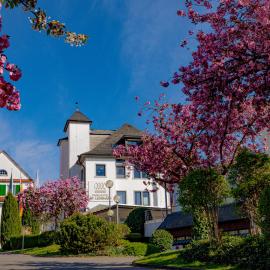 Parkhotel St.Leonhard, hotel in Überlingen