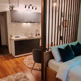 Raluca Studio Central HD