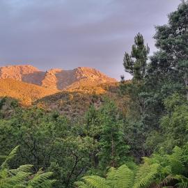 Owen Cottage Queenstown Tas Genuine Comfort and Views