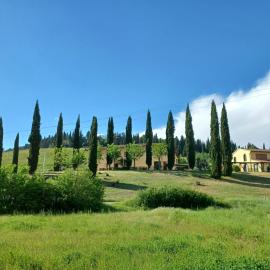 Agriturismo Casa Alla Madonna