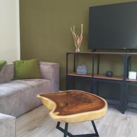 Ferienwohnung auf der Farm mit Spielplatz