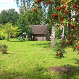 Oravapesa B & B & saun
