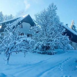 Holiday house with a parking space Srednja Draga, Gorski kotar - 24140, hotel sa Tršće