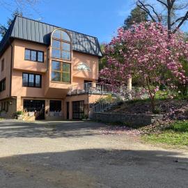 Penzion Janata, hotel Slapyban